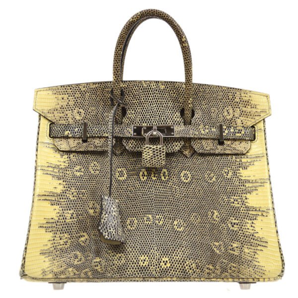 HERMES 2011 BIRKIN 25 Ombre Natural Lizard - Image 11