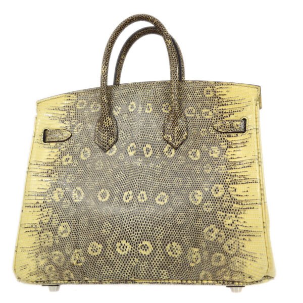 HERMES 2011 BIRKIN 25 Ombre Natural Lizard - Image 2