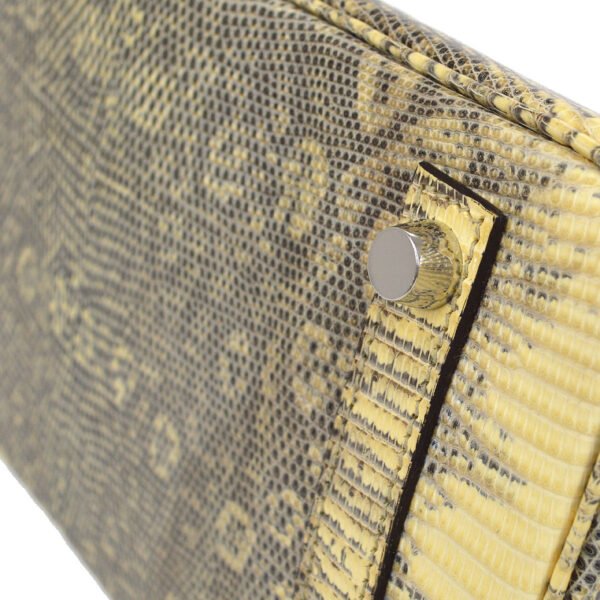 HERMES 2011 BIRKIN 25 Ombre Natural Lizard - Image 3